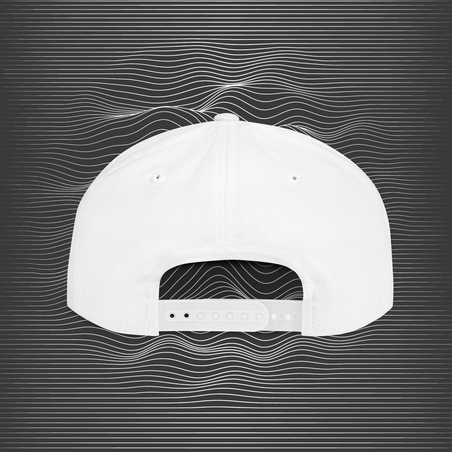 [II] Standard Embroidered Logo Flat-bill Hat